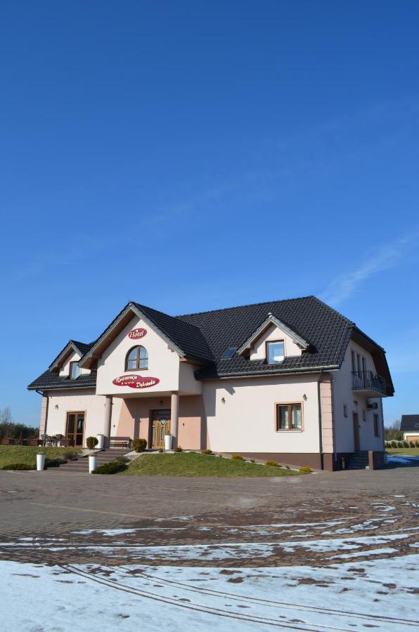 Hotel Dabrowka Niegowa Экстерьер фото